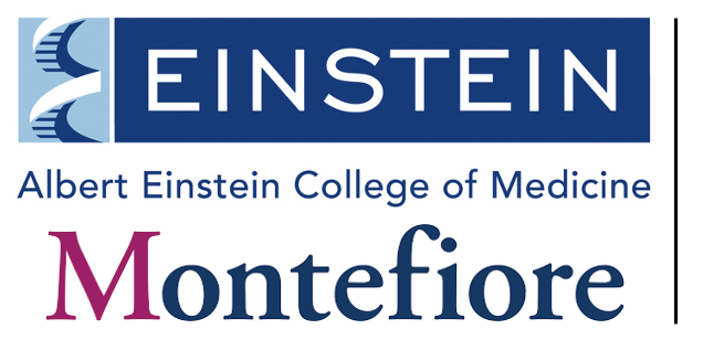 Einstein Logo