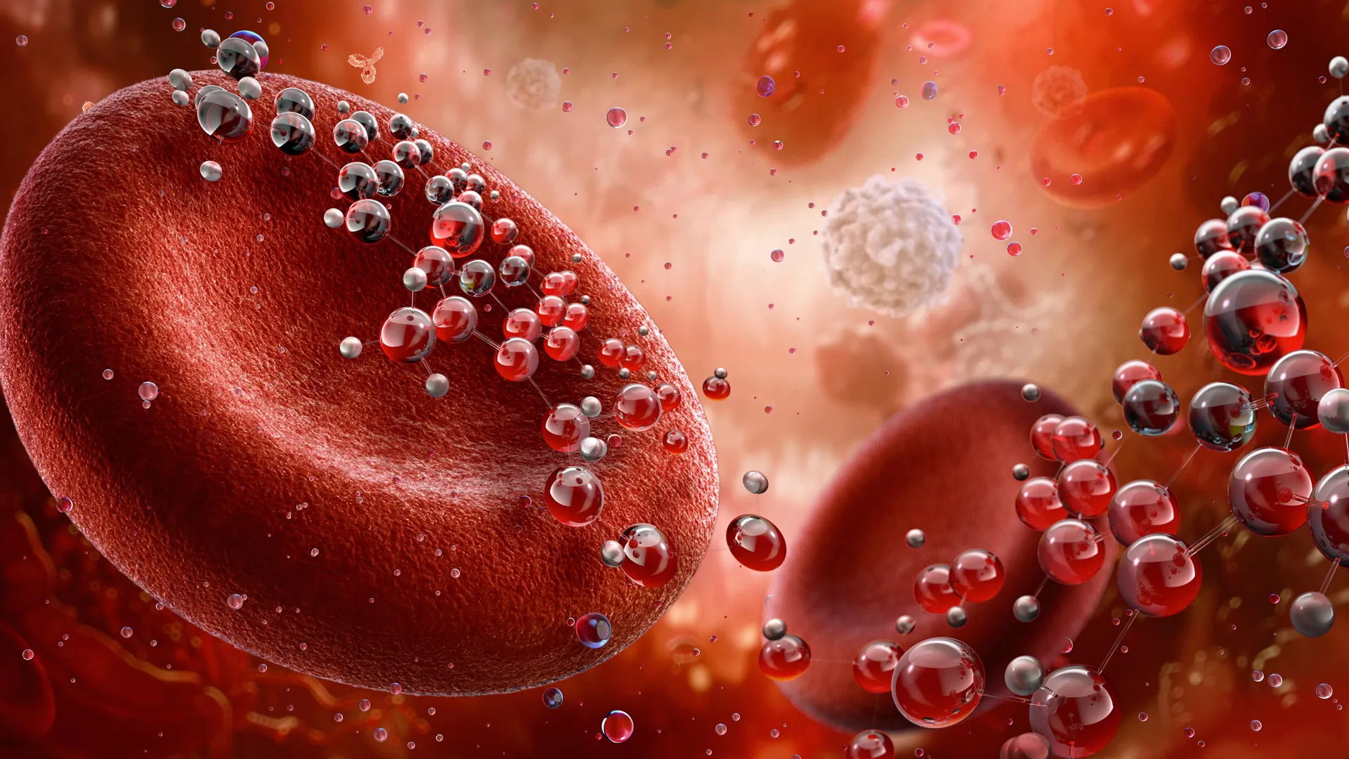 Ulrich Steidl, M.D., Ph.D., Named Director of Montefiore Einstein Comprehensive Cancer Center