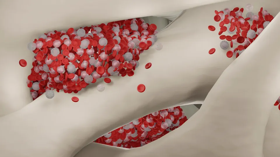 Breakthrough Discovery Overturns Long-Held Belief About Blood Stem Cells